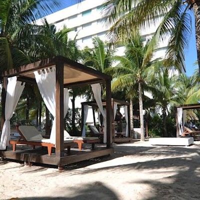 Resort Oasis Palm